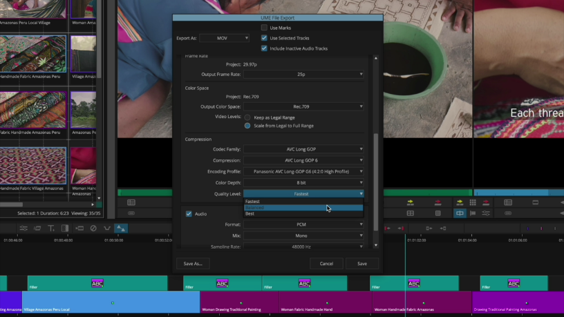 new-avc-long-gop-codec-options2-blog.png